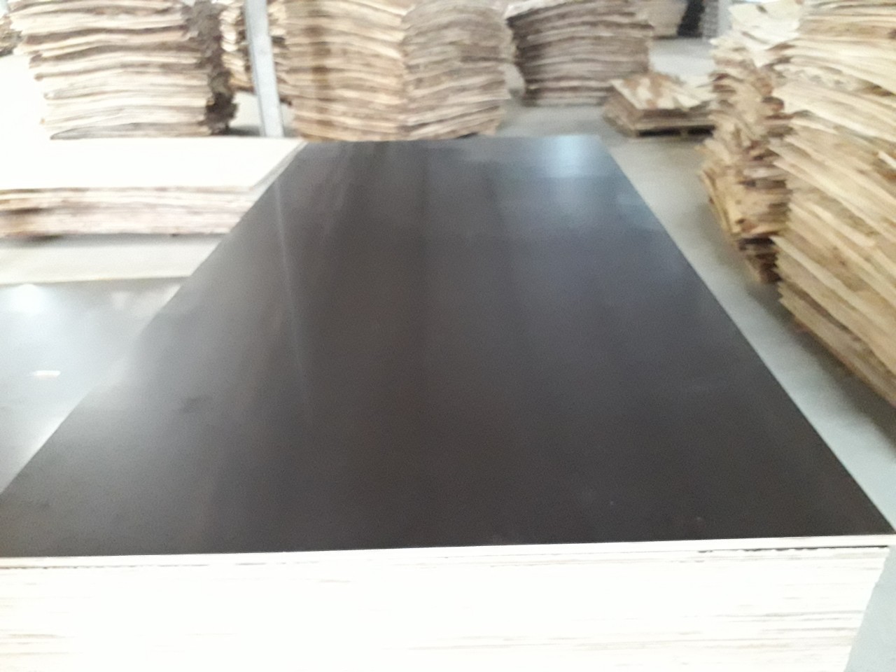 Commercial Film Faced Plywood Core Material: Harwood