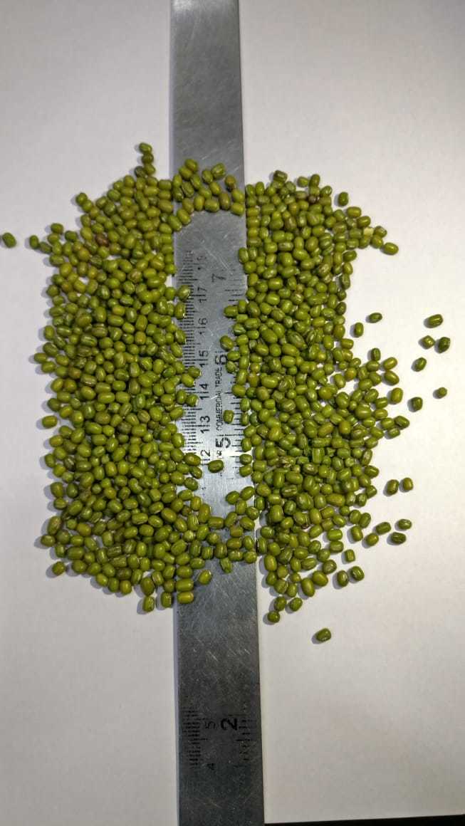 Green Moong Admixture (%): Na