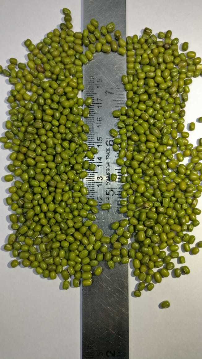 Green Moong Admixture (%): Na