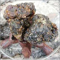 कमिफोरा मुखुल एक्सट्रेक्ट