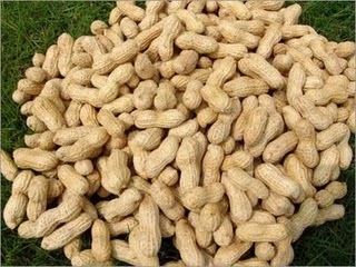 कच्चे मूँगफली