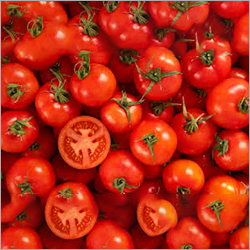 Instant Fresh Tomato