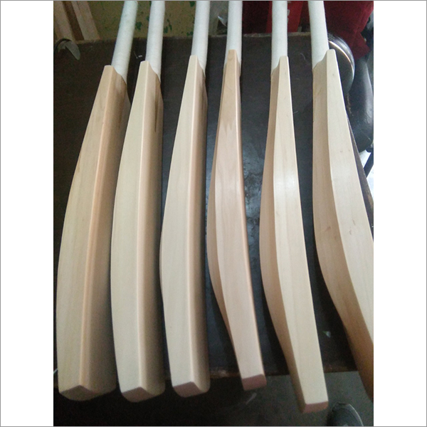 Willow Cricket Bat