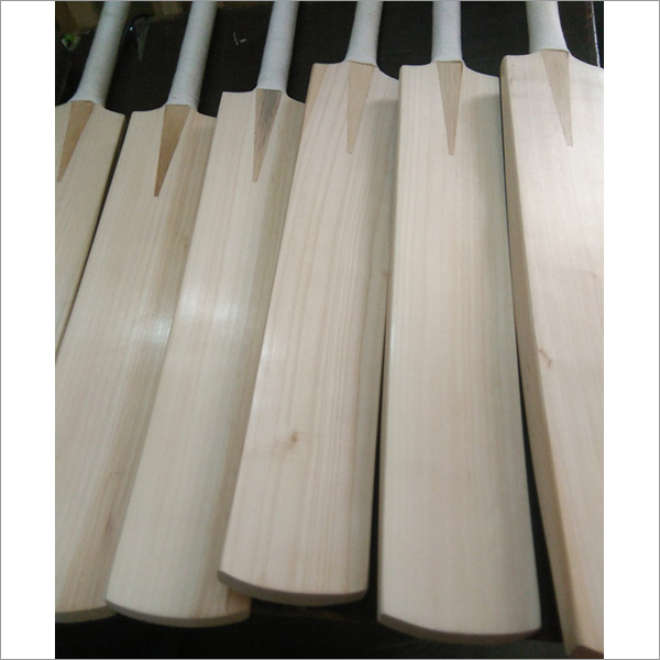 Willow Cricket Bat