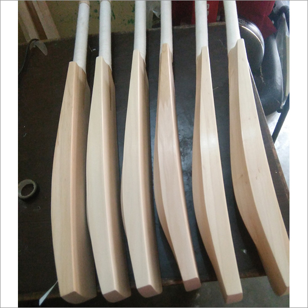 Willow Cricket Bat