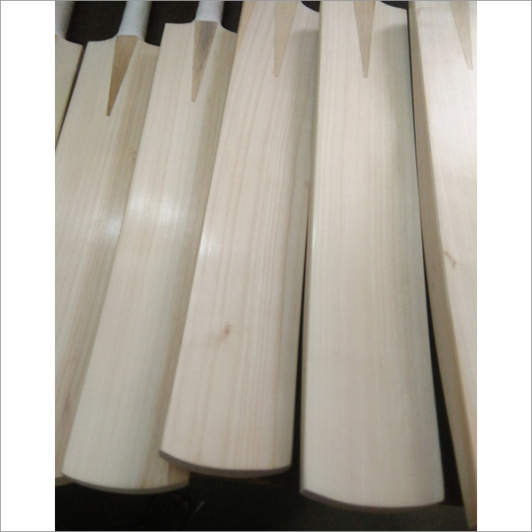 Willow Cricket Bat