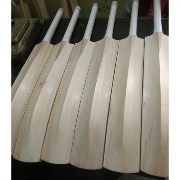 Willow Cricket Bat