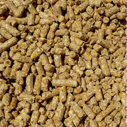 Brown Organic Lamb Feed