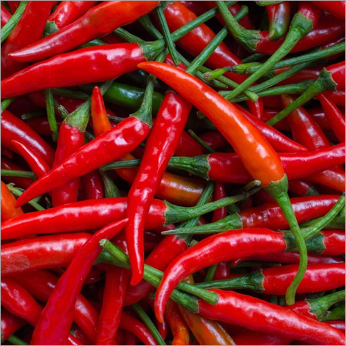 Fresh Red Chili - Baked, Dried Storage | Red Color, Spicy Taste, 1 Month Shelf Life