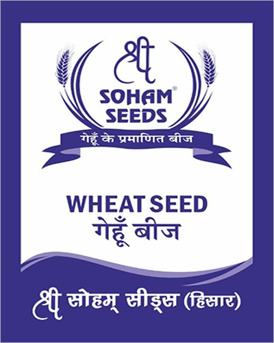 जैविक गेहूं के दाने का बीज