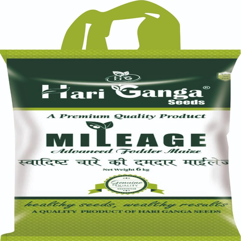 Treated With Thiram Available In Green Color. Advanced Fodder Maize Seeds