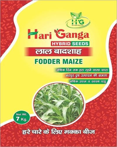 White 7 Kg Fodder Maize Seeds