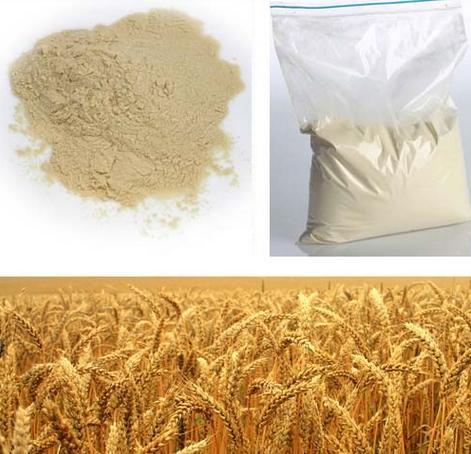 Dry Barley Malt - Color: Pale Yellowish