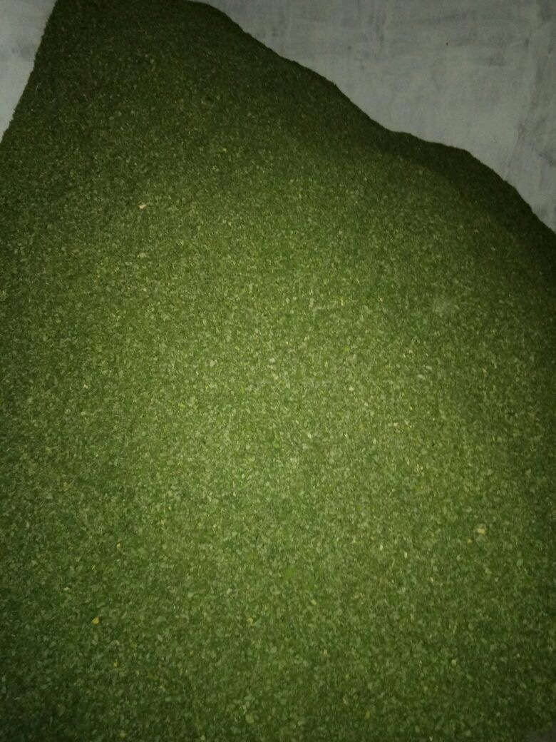 Herbal Product Organic Moringa Dry Leaves