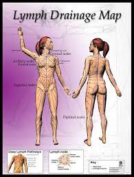 Lymphatic Drainage Massage Service - Non Invasive Therapy Using State-of-the-art 21st Century Technology, Effective For Lymphedema And Hormonal Imbalance Relief