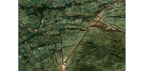 ब्राउन रेनफॉरेस्ट ग्रीन मार्बल स्लैब और टाइल्स