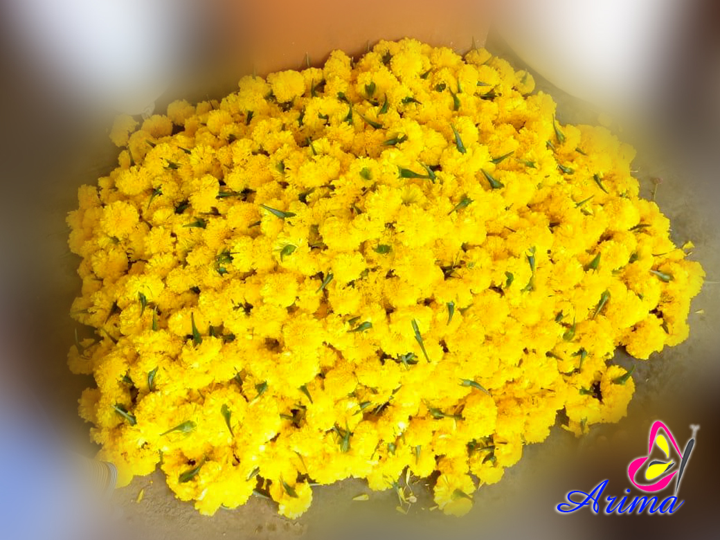 Marigold - Fresh Jasmine & Marigold Flowers | Stem Length 1 To 1.5 Inches, Color White To Mild Reddish, Shelf Life 2-3 Days