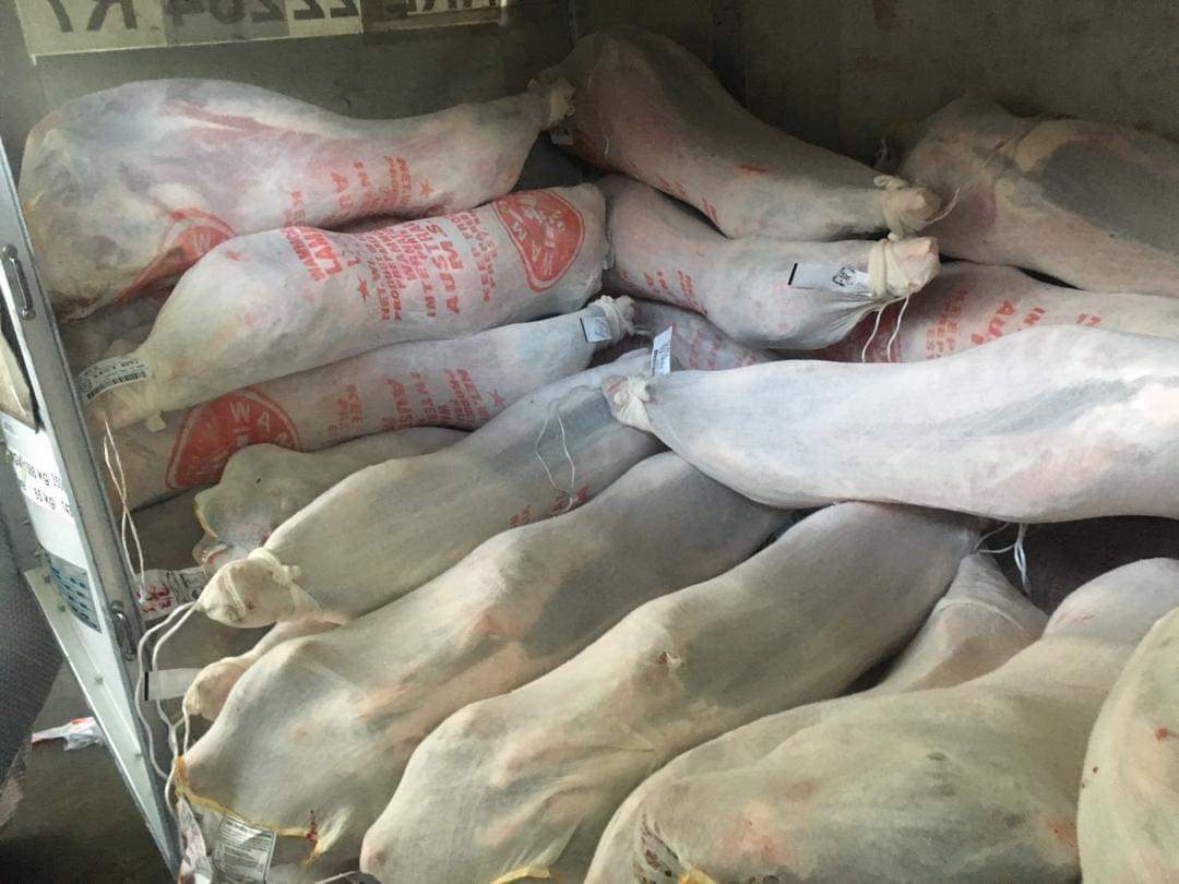 Osmanabadi Goat Carcass