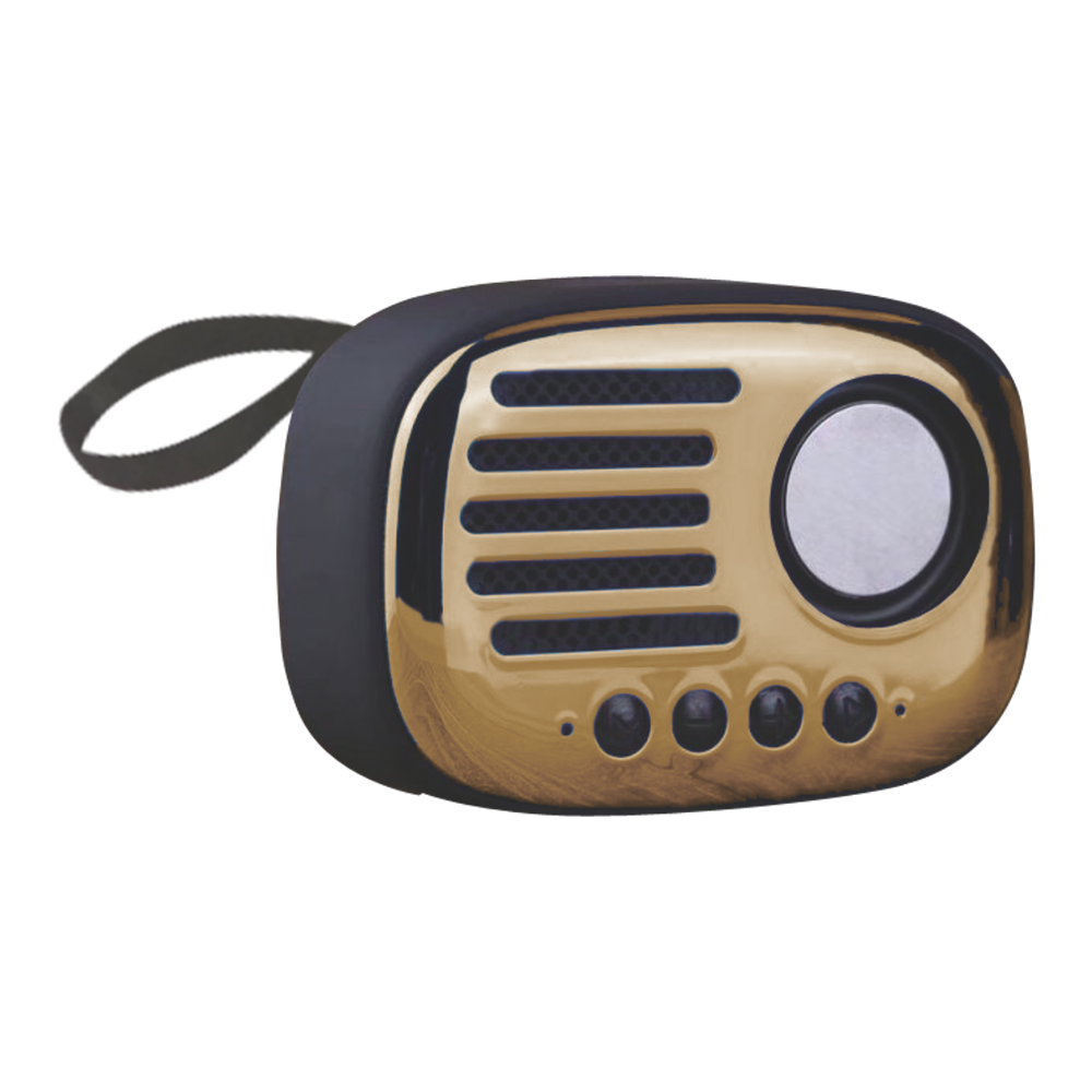 Speaker