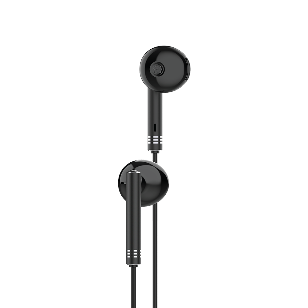 Earphone