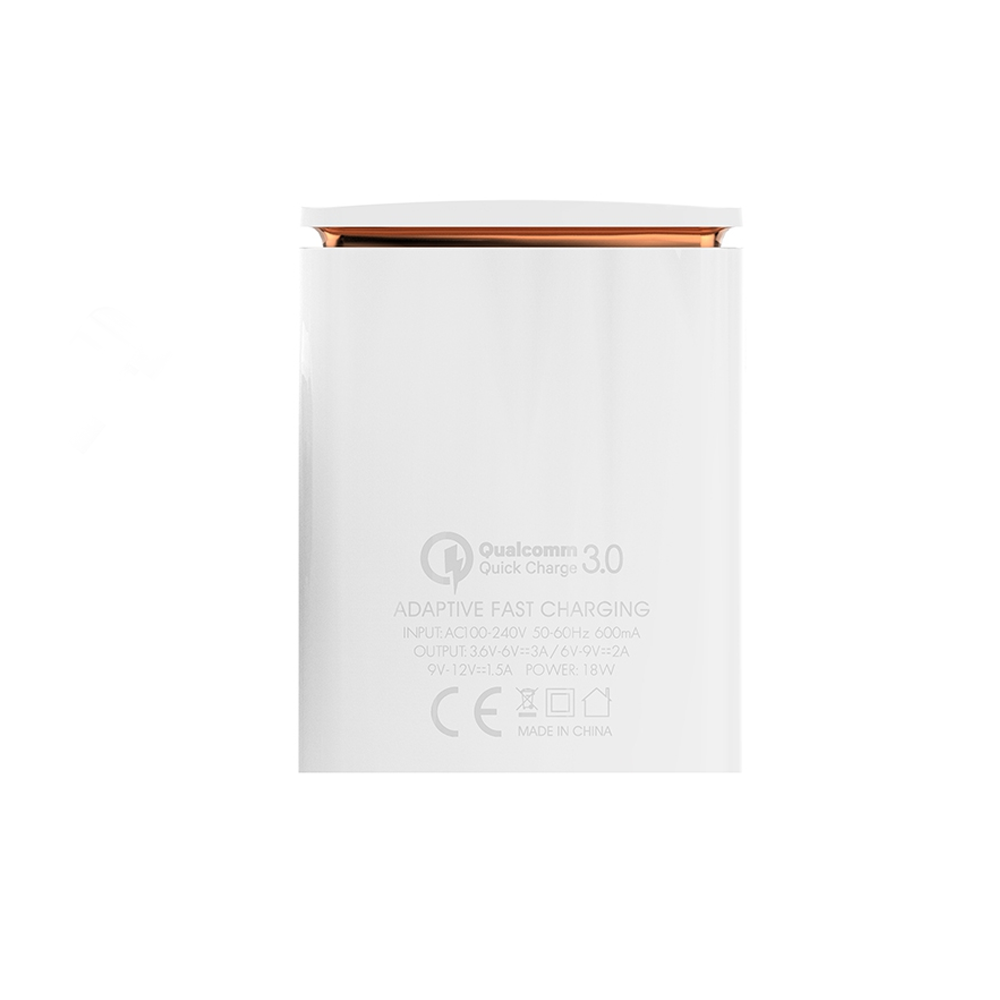 Qualcomm Mobile Charger