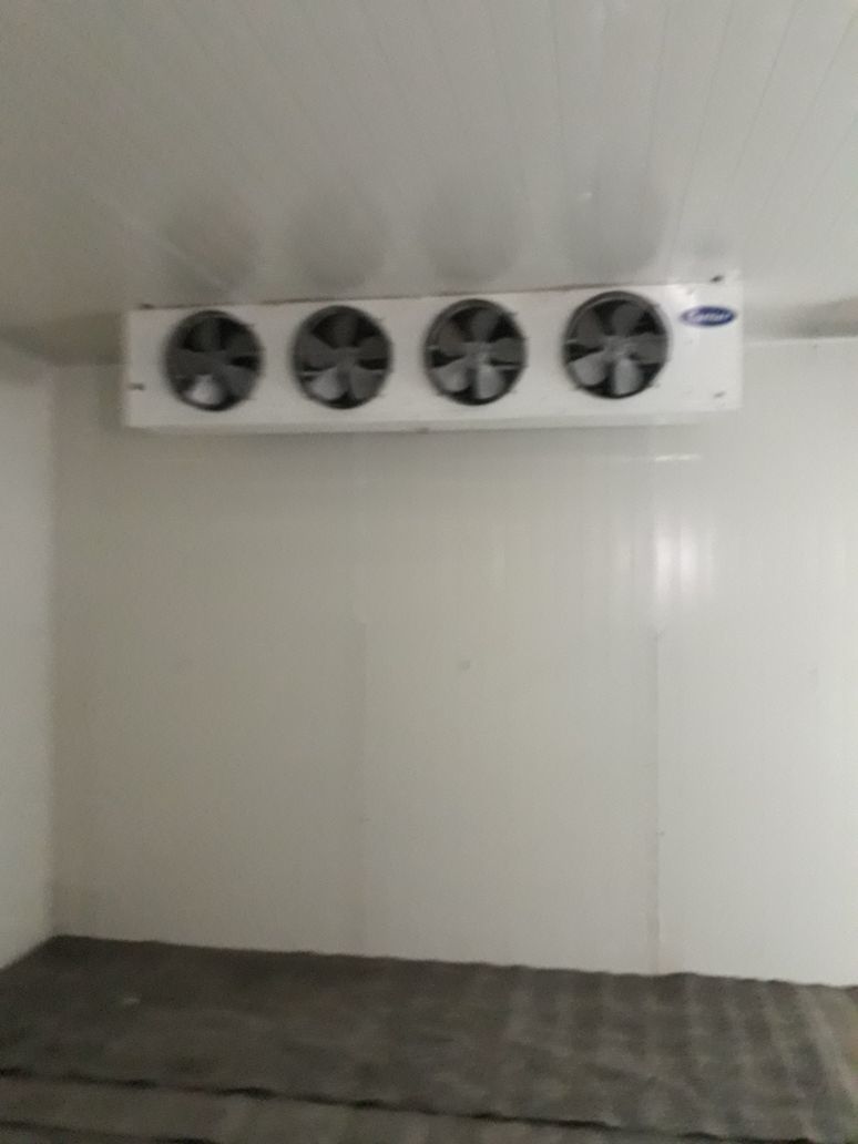 Cold Storage Plant - Capacity: 2 Mt To 2000 Mt Ton/day