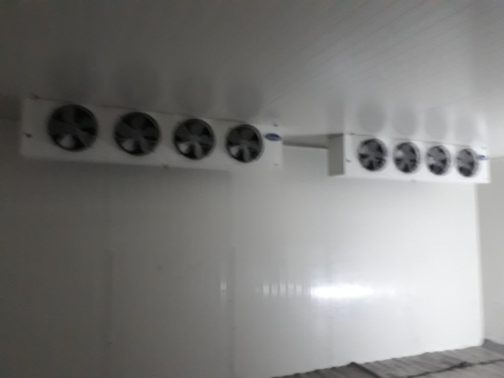 Cold Storage Capacity: 2 Mt To 2000 Mt Ton/day