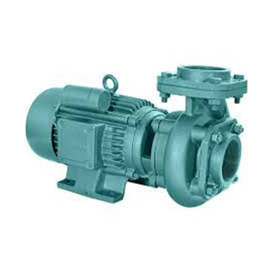 Monoblock Centrifugal Pump - 1.5 HP, 220V, 50Hz | Cast Iron Body, Stainless Steel Shaft, 100 LPM Flow Rate