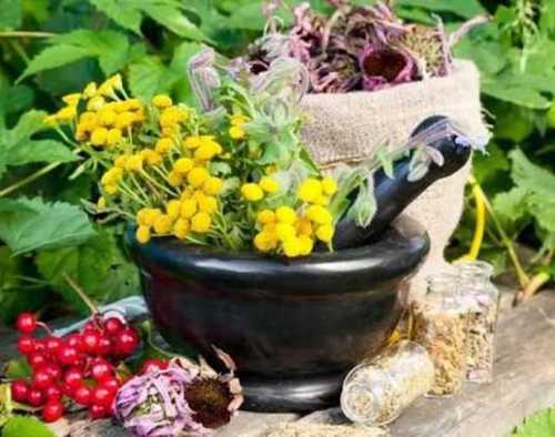 फ्री इम्युनिटी बूस्टर के साथ Covid19 के लिए बीमा