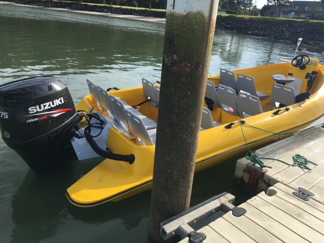 Boats - Inflatable, 5.7m Length, Yellow Color | 140 Hp 2-stroke Engine, 12+ Capacity, Designed For Glacier Tours