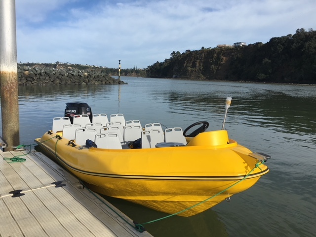 Boats - Inflatable, 5.7m Length, Yellow Color | 140 Hp 2-stroke Engine, 12+ Capacity, Designed For Glacier Tours