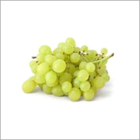 Green Grapes - Sweet Flavor, 10 Days Shelf Life | Common Cultivation, Candy-Like Texture, Enjoyable Snack