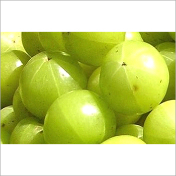 Fresh Amla - Round Green Fruit, 1 Month Shelf Life, Sour Taste | Cultivated Commonly for Natural Flavor and Easy Digestion
