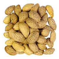 Moheb Almond