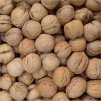 Shell Walnut