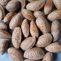 Kashmiri Shell Almond