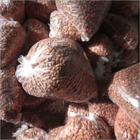 Kashmiri Almond Kernels