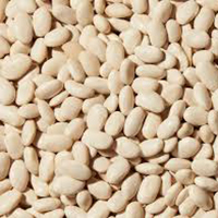 इंस्टेंट बीन्स