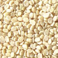 इंस्टेंट व्हाइट पल्सेस