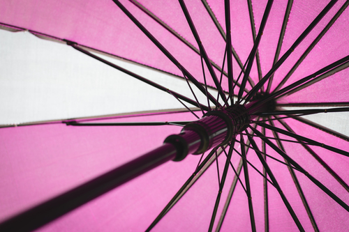 अम्ब्रेला रिब वायर्स