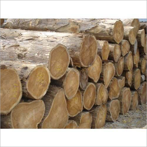 Durable Teak Wood Log