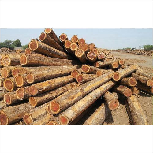 Durable Sangwan Wood Log