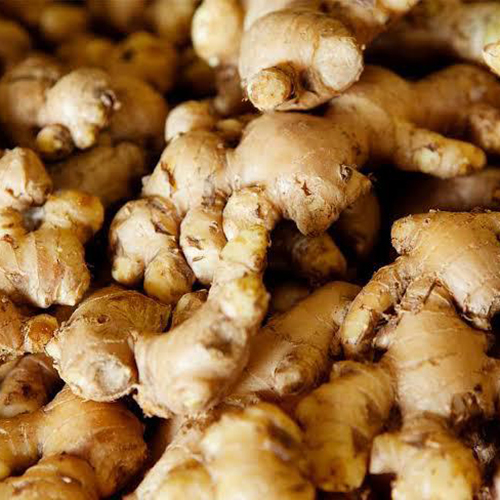 Ginger - Brown Rhizome, Various Sizes, Irregular Shape - Fibrous Texture, Healthy Spice for Culinary and Medicinal Use