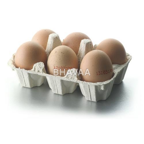 छोटा अंडा ट्रे