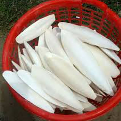 कटलेट फिश बोन