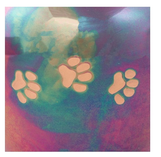 Mix Color Raku Paw Medium Pet Cremation Urn- New