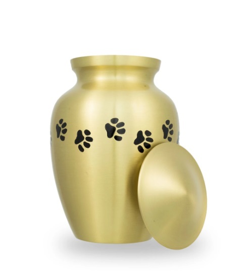 Bronze Paw Cremation Urn Medium New