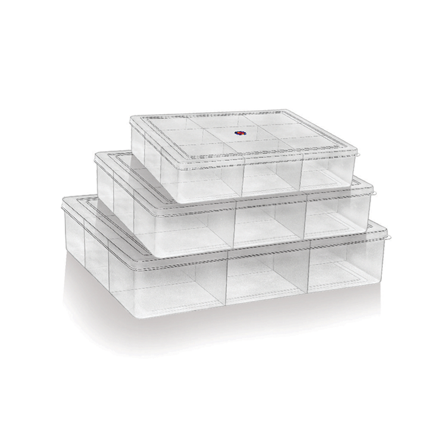 Rectangle Partition Plastic Box - Plastic, 162 X 104 X 28 Mm, Transparent | Microwave Safe, Freezer Safe, 6-part Design, Injection Molding