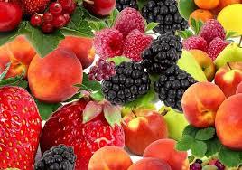 स्वास्थ्य और पोषण पूरक खुराक प्रपत्र: पाउडर