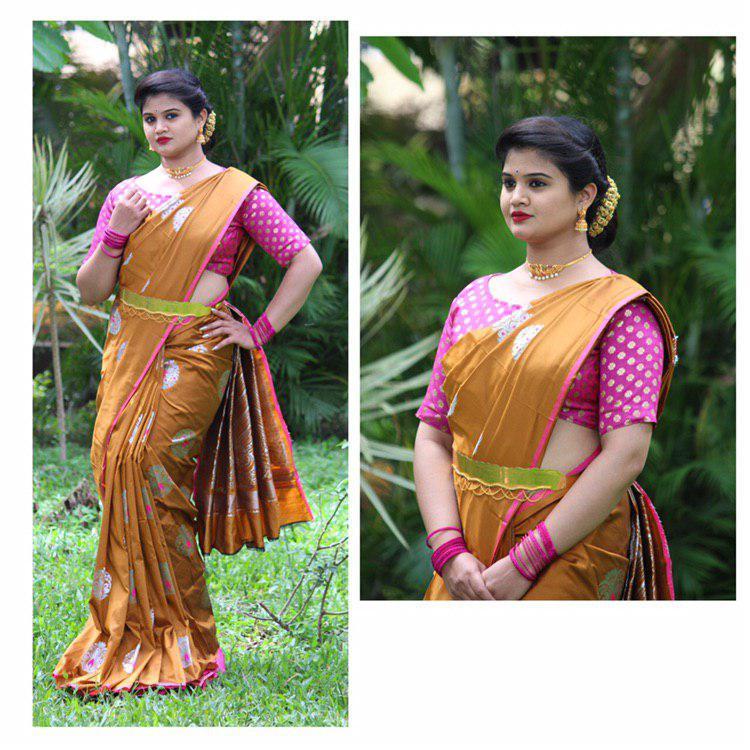 Multy Paithani Silk Sarees